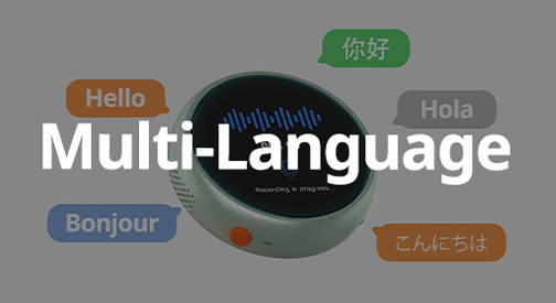 Multi-Language